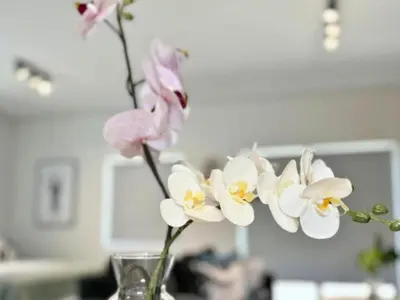 a vase with white and pink flowers in it at Obs Centre Luxe Loft in Cape Town