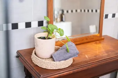 a potted plant sitting on a table in front of a mirror at 1-Bed Cottage ,Sleeps 3, Walk to Boys High and Bossa in Paarl