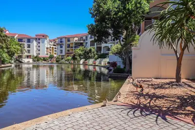 a body of water with buildings and birds on the ground at 107 St Tropez Eyrie Holiday Apartments in Cape Town