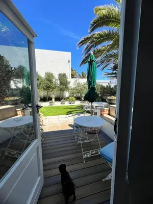 a cat sitting on a deck with a table and an umbrella at Charming Flatlet Near the Amazing Sunset Beach in Cape Town