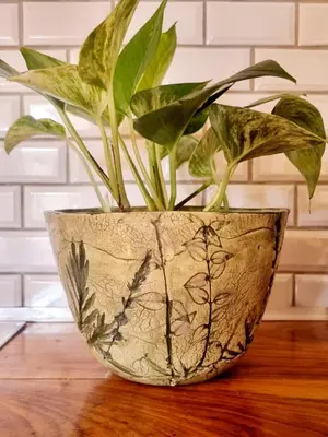 a plant in a bowl on a wooden table at The Sculpture Yard in Gordonʼs Bay