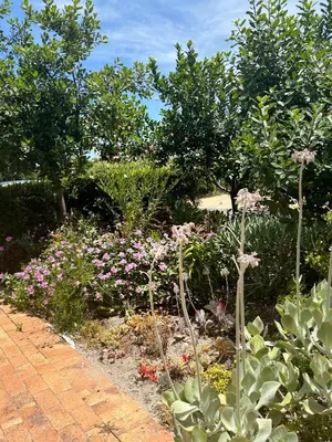 a garden with flowers and plants on a brick path at Serene loft apartment in Cape Town