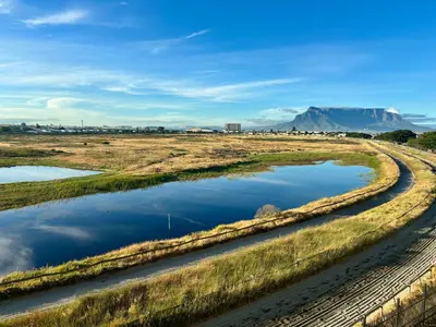 a winding road through a field with mountains in the background at Serene loft apartment in Cape Town