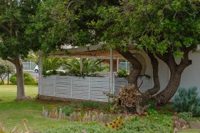 a building with a porch with a tree and flowers at The Ocean Side Cottage in Cape Town