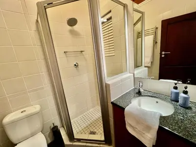 a bathroom with a toilet and a sink and a shower at 7 on Huis Piron in Stellenbosch
