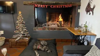 a dog laying on a couch in a living room with a fireplace at 9de Laan Kleinmond in Kleinmond