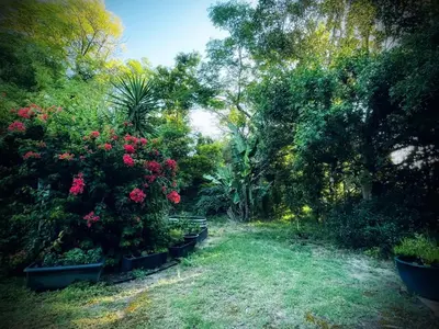 a garden with flowers and plants in pots at The Secret Room in Somerset West