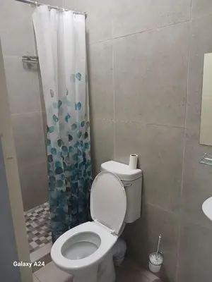 a bathroom with a toilet and a shower curtain at The Gem Guest House & Spa in Parow