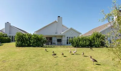 a group of birds standing in the grass in front of a house at Val de Vie in Simondium