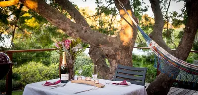 a table in front of a tree with a bottle of wine at TreeTop Apartment Cape Town in Cape Town