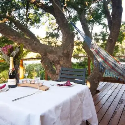 TreeTop Apartment Cape Town