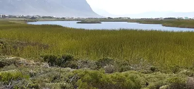 a body of water in the middle of a field at Two Lakes in Bettyʼs Bay