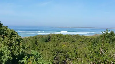 a view of the ocean from a hill with trees at SeaScape Silversands in Bettyʼs Bay