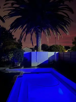 a swimming pool with a palm tree at night at 2stay Apartment Protea - Cape Town Bloubergstrand in Cape Town