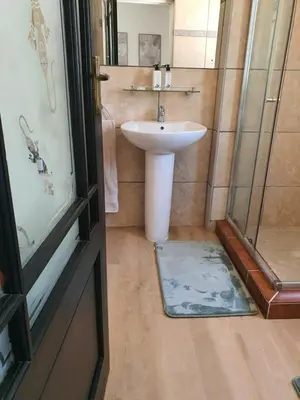 a bathroom with a sink and a shower at Lynwood Place in Cape Town