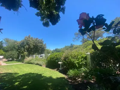 a garden with a flower in the grass at 8 Sleeper, 4 Bedroom Home in Franschhoek in Franschhoek