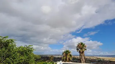 two palm trees on a hill with a cloudy sky at Martha's Place in Gordonʼs Bay