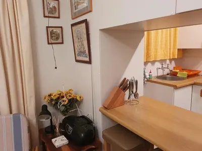 a small kitchen with a counter and a sink at Betty's Bay Quaint Cottage in Bettyʼs Bay