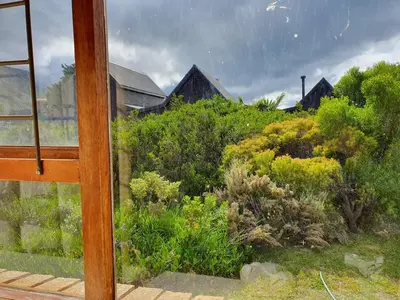 a view of a garden from the window of a house at Betty's Bay Quaint Cottage in Bettyʼs Bay