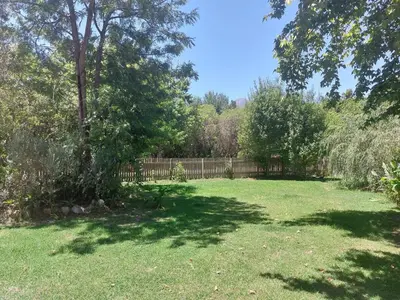 a yard with a fence and a tree at Greystone in Greyton