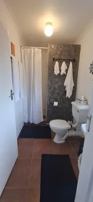 a bathroom with a toilet and a shower at Grey Vine Cottage - Guest Room in Cape Town