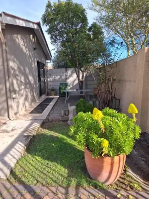 a yard with two large pots with yellow flowers at Comfey Stay in Somerset West