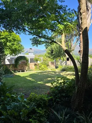 a yard with a tree and a house at Cozy en-suite room in Wellington with own entrance in Wellington
