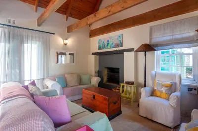 a living room with a couch and a fireplace at Serendipity Self-Catering Cottage in Greyton