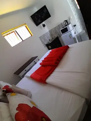 a bedroom with a large white bed with red pillows at Neo & ruks guest houses Boston Belleville 4 in Bellville