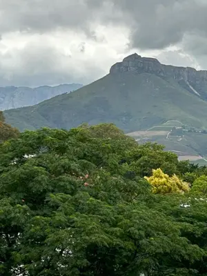 a group of trees with a mountain in the background at 126 Andringa Walk in Stellenbosch