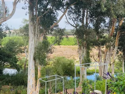 a basketball hoop in a forest with trees at Self Check-in River View Suite in Wellington