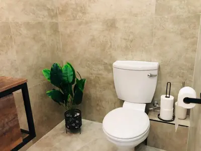 a bathroom with a white toilet and a plant at Loft apartment by the lake in Cape Town