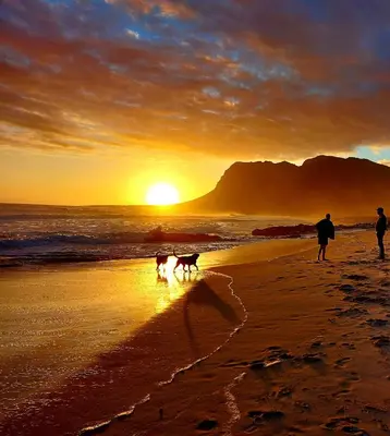 two people and a dog walking on the beach at sunset at La Mer Seafront Selfcatering Accommodation Kleinmond in Kleinmond