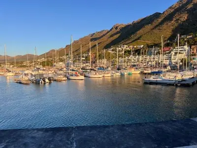 a bunch of boats are docked in a harbor at Whale Watchers Gordons Bay in Gordonʼs Bay