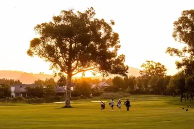 a group of people walking on a field with a tree at Luxury Lodge 5B, Pearl Valley Golf Estate in Simondium