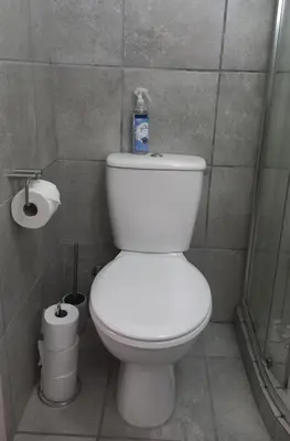 a bathroom with a white toilet and a shower at 'The Cape Robin' studio apartment in Hoheizen