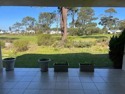 a patio with three potted plants in a yard at 16 on Fernkloof in Hermanus