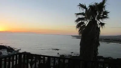 a palm tree sitting next to the ocean at sunset at View Panoramica Self-Catering Apartment in Gordonʼs Bay