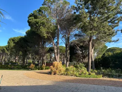 a path in a park with trees in the background at The Cottage - a tranquil hideaway in Somerset West