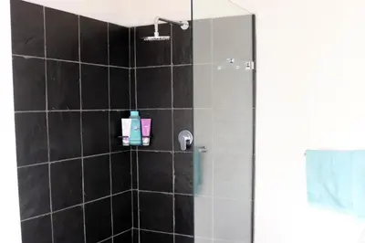 a bathroom with a shower with black tiles at Little Nest Self-Catering in Hermanus