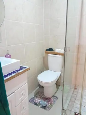 a bathroom with a toilet and a sink and a shower at Yannas Guesthouse in Cape Town