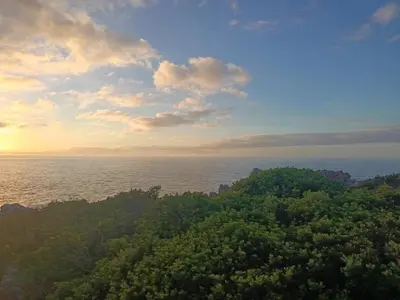 an aerial view of the ocean and trees at Hes Se Gang family home,in Vermont in Hermanus
