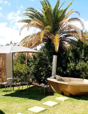 a palm tree and a tub in the grass at Casa La Mer Guesthouse in Strand