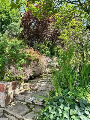 a stone path in a garden with plants and trees at Blue Cottage, Elgin Grabouw in Grabouw