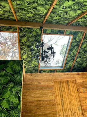 a chandelier hanging in a room with a green wall at Blue Cottage, Elgin Grabouw in Grabouw