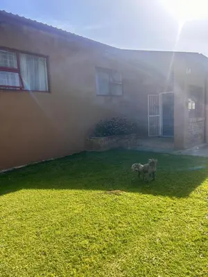 two sheep standing in front of a house at Bergstreet in Hermanus