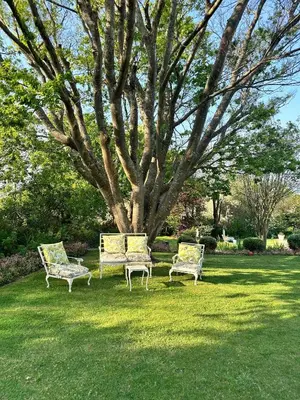 three chairs sitting in the grass under a tree at Green Cottage, Elgin Grabouw in Grabouw