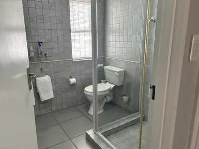 a bathroom with a toilet in a shower stall at Lemon Tree Cottage a Charming 3 Bedroom Self-catering house in Franschhoek
