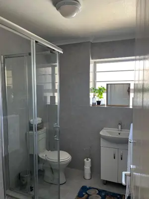a bathroom with a shower and a toilet and a sink at Pinelands Apartment in Cape Town
