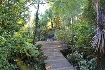 a wooden pathway through a garden with plants and trees at Timeless at Rusticana in Klapmuts